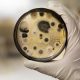 Should I use a mold testing kit?
