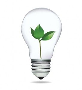 save money by going green