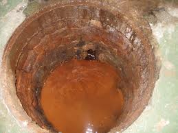 iron bacteria in toronto basement