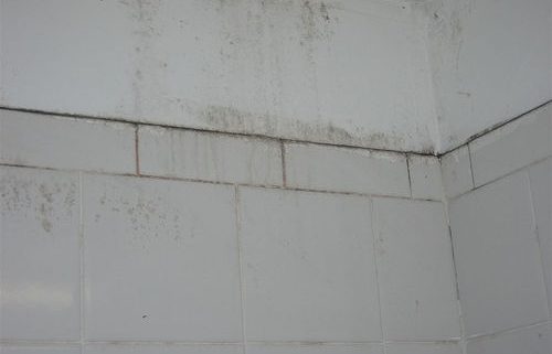 Mold and mildew removal in Toronto home