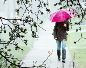 Getting your home ready for rainy Fall season Toronto